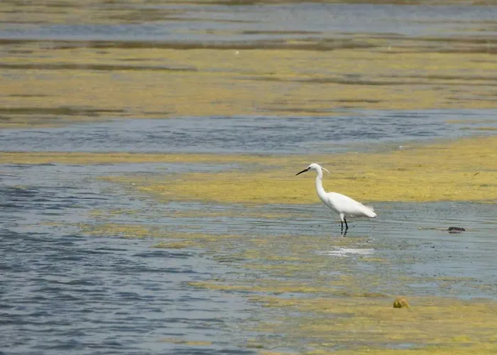 Campsite Les Perouses Saint-Clement-des-Baleines