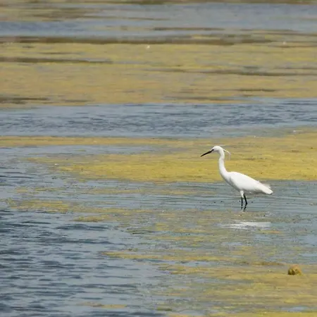 营地 Les Perouses 圣克莱门特德巴